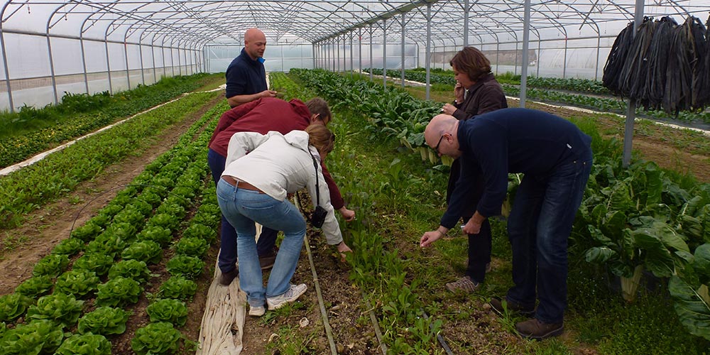 Un Chou Raver à MdM