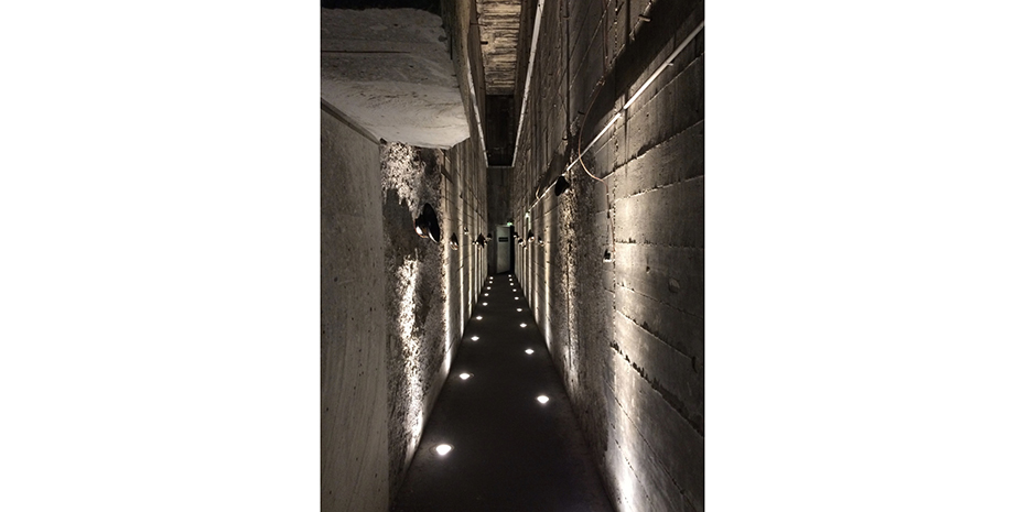 Le régime du paradoxe