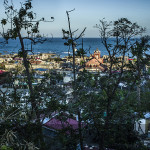 HAITI MEDECINS DU MONDE