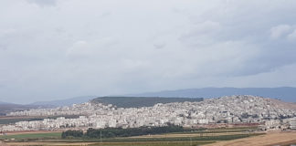 L’exemple de la Turquie et du Liban