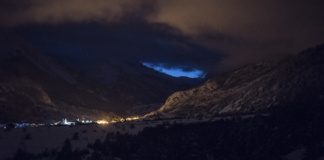 Sur les traces du lion