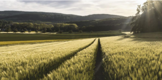 Faire face aux enjeux de santé de l’urgence climatique