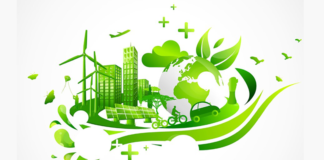 MdM éco-responsabilité // MdM’s environmental responsibility