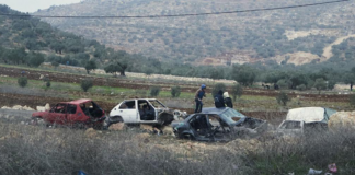 Lumière sur la Palestine // Shedding light on the situation in Palestine