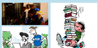 Crise Migratoire au Mexique – Enterprise Resource Planning (ERP) – Mise à jour du règlement intérieur // Migration crisis in Mexico – Enterprise Resource Planning (ERP) – Updating the internal regulations