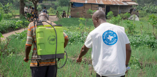 Pulsation Magazine, un nouveau journal pour prendre le pouls du monde