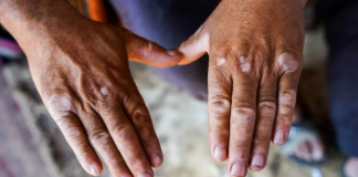 Derrière les grands crus bordelais, la misère des saisonniers étrangers